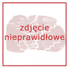 zdjecie