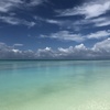 HOLIDAY HOLIDAY