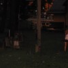 zdjecia/2021_03/t/add-36b8f05b-171049.jpg